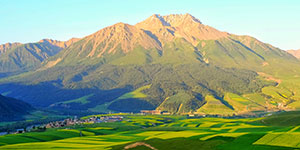 甘肅建投生態(tài)建設(shè)集團(tuán)有限公司隸屬于中國(guó)500強(qiáng)企業(yè)—甘肅省建設(shè)投資（控股）集團(tuán)有限公司，是甘肅建投貫徹落實(shí)“五位一體”總體布局和新發(fā)展理念，推進(jìn)生態(tài)治理板塊發(fā)展的新業(yè)態(tài)公司。