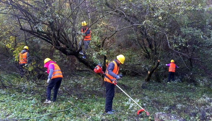 莊浪造林正當時：生態(tài)公司奏響“三北”工程生態(tài)修復新樂章