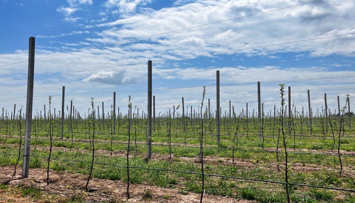 微信圖片_20230417145456(1).jpg 微信圖片_20230417145456(1).jpg